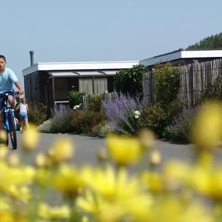 Strandchalet Apartamento Bredene